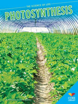 cover image of Photosynthesis